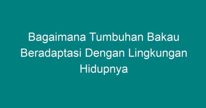 Tumbuhan lembab bakau mangroves dosenbiologi mangrove hidup lingkungan