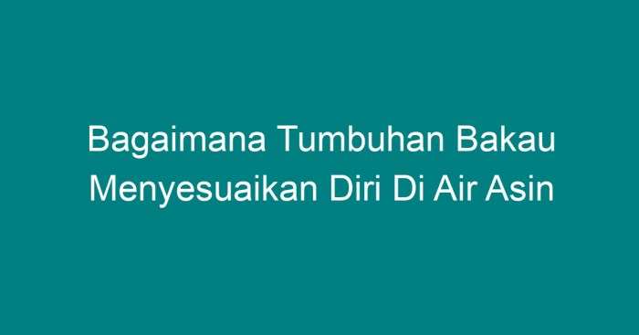 Mangrove bakau tanaman mangroven angeln termasuk hidup hutan biota menahan ecotone groene asin roots laut biotope kehebatan lindungi berat merkuri