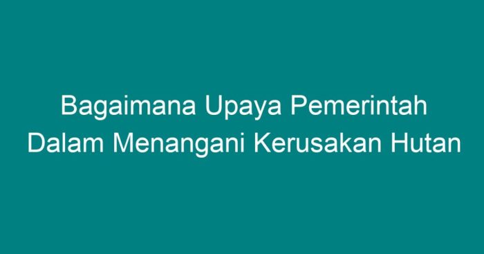 Kebakaran hutan cegah infografis mengatasi tentang baik edukasi papan alam geografi pilih desain