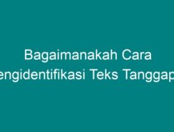 Bagaimana Cara Mengidentifikasi Teks Tanggapan