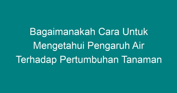 Bagaimana cara untuk mengetahui pengaruh air terhadap pertumbuhan tanaman