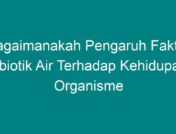 Bagaimanakah Pengaruh Faktor Abiotik Air Terhadap Kehidupan Organisme