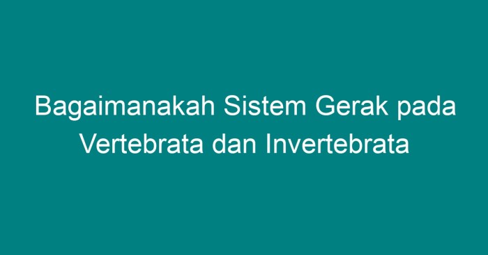 Bagaimanakah sistem gerak pada vertebrata dan invertebrata