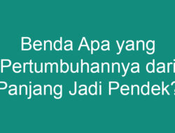 Benda Apa yang Tumbuh dari Panjang Menjadi Pendek?