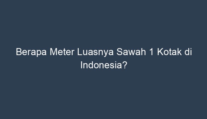 1 kotak sawah berapa meter