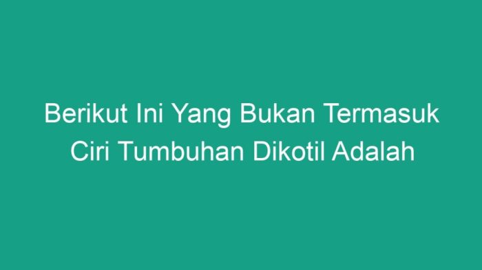 Berikut ini bukan termasuk software adalah