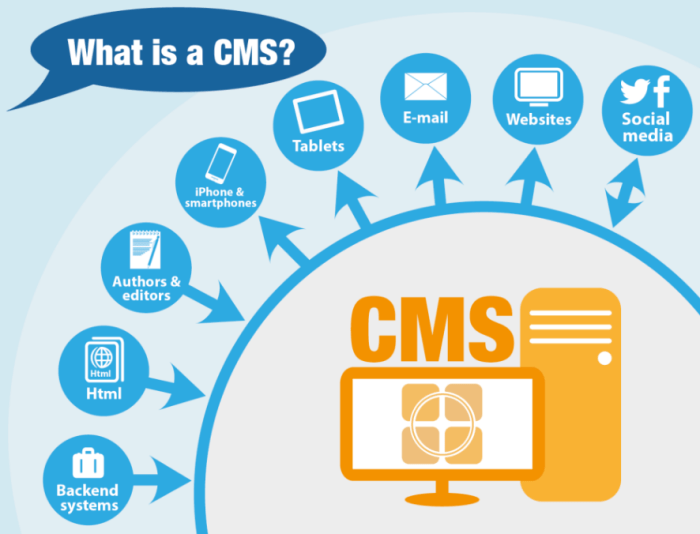 Jelaskan fungsi cms untuk sindikasi