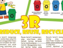 Bagaimana Cara Mengolah Sampah Organik