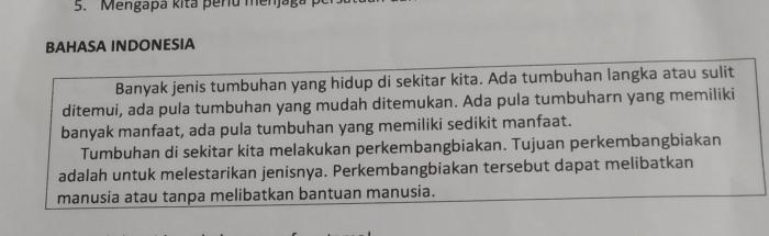 Ide pokok paragraf kedua adalah