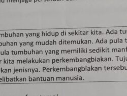 Menguak Rahasia Ide Pokok Paragraf Kedua: Kunci Pemahaman Teks