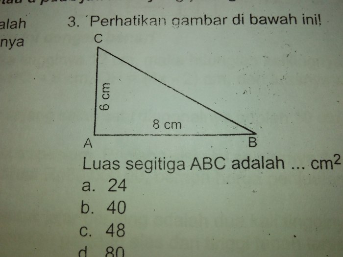 Luas segitiga abc adalah