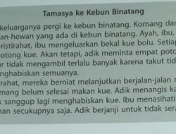 Bagaimana Pendapatmu tentang Sikap Komang