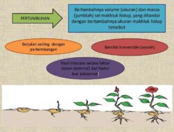 Bagaimana Suhu Mempengaruhi Pertumbuhan Tanaman