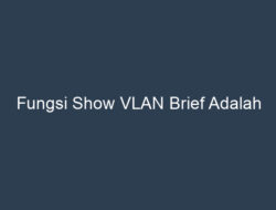 Fungsi dari show vlan brief adalah untuk menampilkan ringkasan konfigurasi VLAN pada perangkat jaringan.