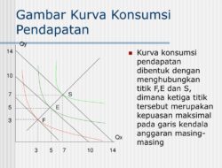 Bagaimana Tingkat Pendapatan Dapat Mempengaruhi Permintaan