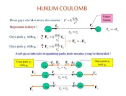 Bagaimana Konsep Hukum Coulomb Diciptakan