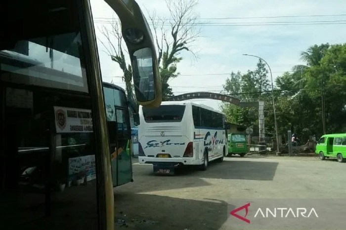 Bus balikpapan bontang