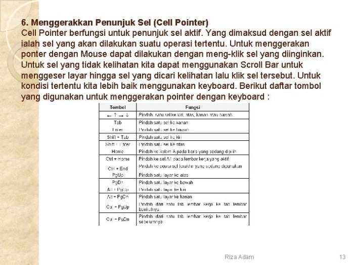 Jenis pointer yang berfungsi untuk