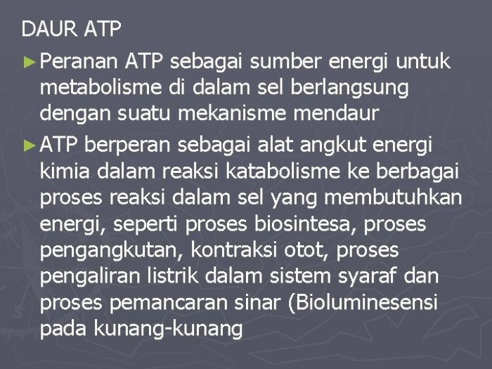 Katabolisme lemak metabolisme karbohidrat jurnal energi jalur asam oksidasi siklus menghasilkan lain unsur faktor biokimia asetil koa ipa kumpulan pendidikan