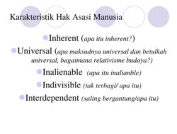 Bagaimana Kaitan Antara Keberakalan Manusia dengan HAM