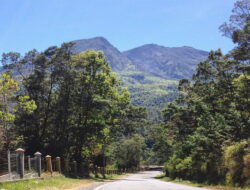 Mengenal Tempat Mistik: Di Mana Kisah dan Legenda Bersemayam