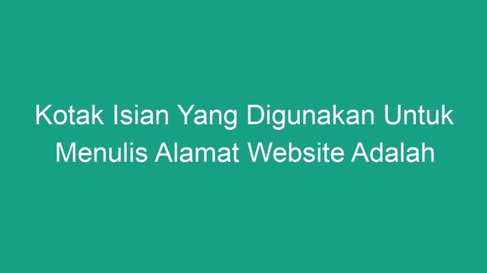 Kotak isian yang digunakan untuk menulis alamat website adalah