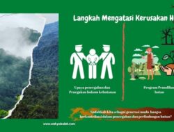 Bagaimana Upaya Pemerintah dalam Menangani Kerusakan Hutan