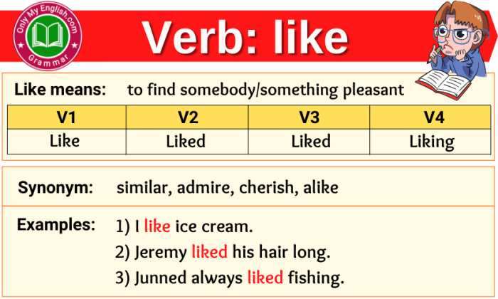 Verb 2 like