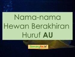 Kata Akhiran Au: Menjelajahi Jejak Kata dalam Bahasa Indonesia