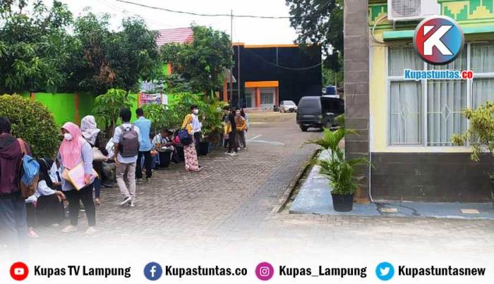 Bandar lampung istimewa ppdb pendaftar