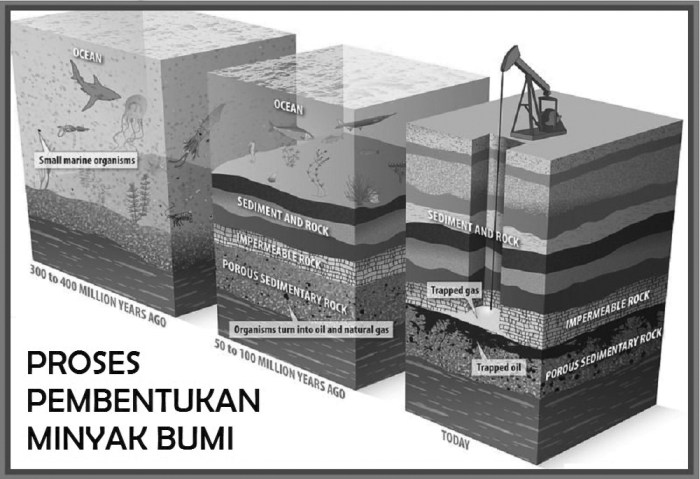 Minyak bumi proses pembentukan terbentuknya bagaimana bentuk berapa lama terbentuk andimanwno