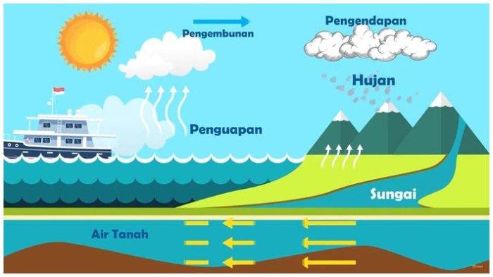 Benda apa yang pertumbuhannya dari panjang jadi pendek