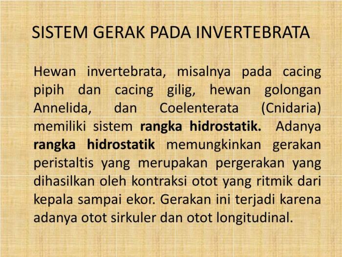 Bagaimanakah sistem gerak pada vertebrata dan invertebrata