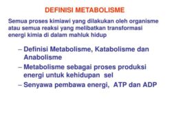 Bagaimanakah ATP Dapat Menghasilkan Energi untuk Kegiatan Metabolisme