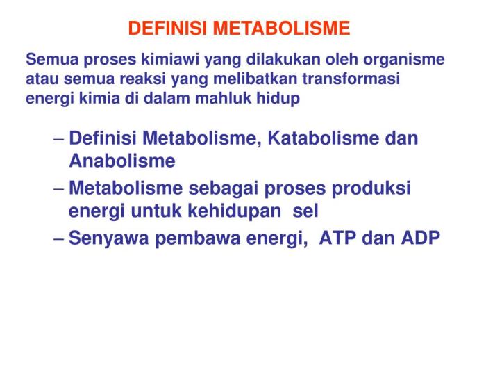 Otot energi kontraksi metabolisme atp kreatin fisiologi piruvat adp fosfat glikogen berasal relaksasi