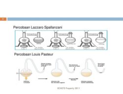 Bagaimana Louis Pasteur Membuktikan Kelemahan Teori Generatio Spontanea