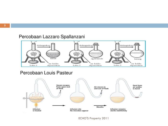 Abiogenesis teori biogenesis pasteur