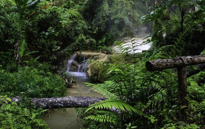 Bagaimana dengan wilayah tempat tinggalmu apa saja sumber daya alam