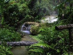 Bagaimana dengan Wilayah Tempat Tinggalmu, Apa Saja Sumber Daya Alam