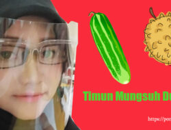 Timun Mungsuh Duren Tegese: Makna Filosofis dan Penerapan dalam Kehidupan