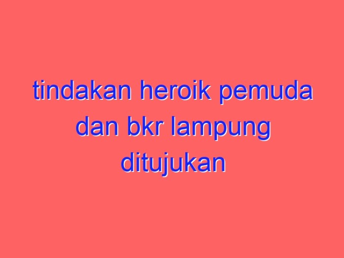 Tindakan heroik pemuda dan bkr lampung ditujukan untuk