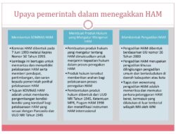 Memahami Implementasi HAM di Indonesia Berdasarkan Teori Realitas