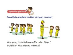 Apa yang Terjadi dengan Dayu dan Mey?